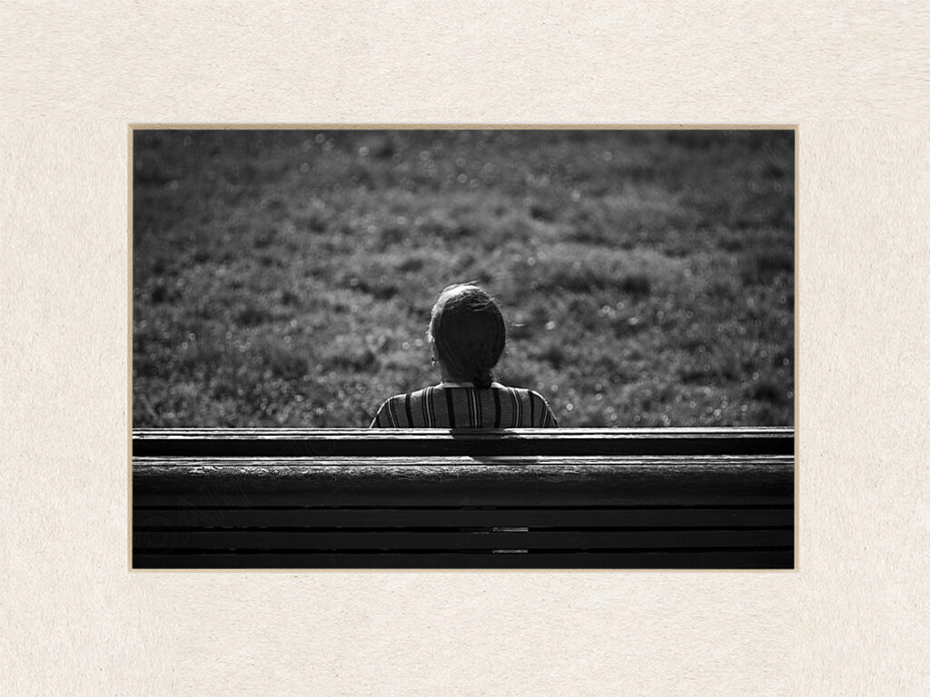 115_autor