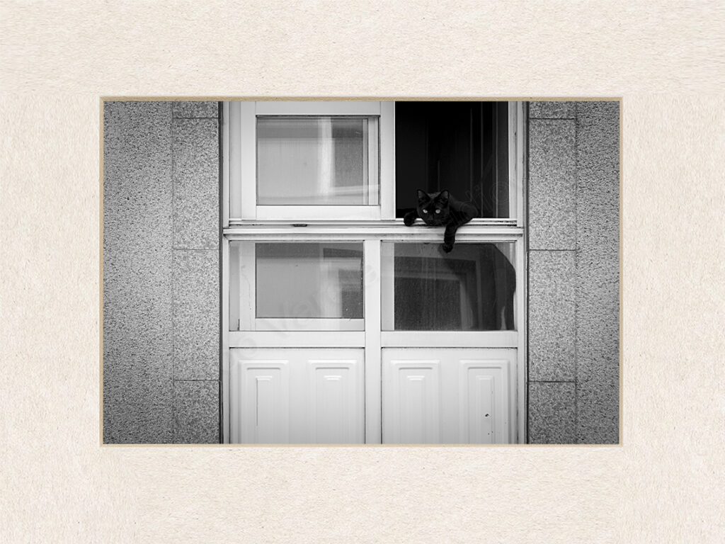 124_autor