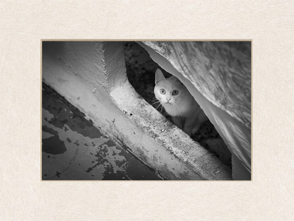125_autor
