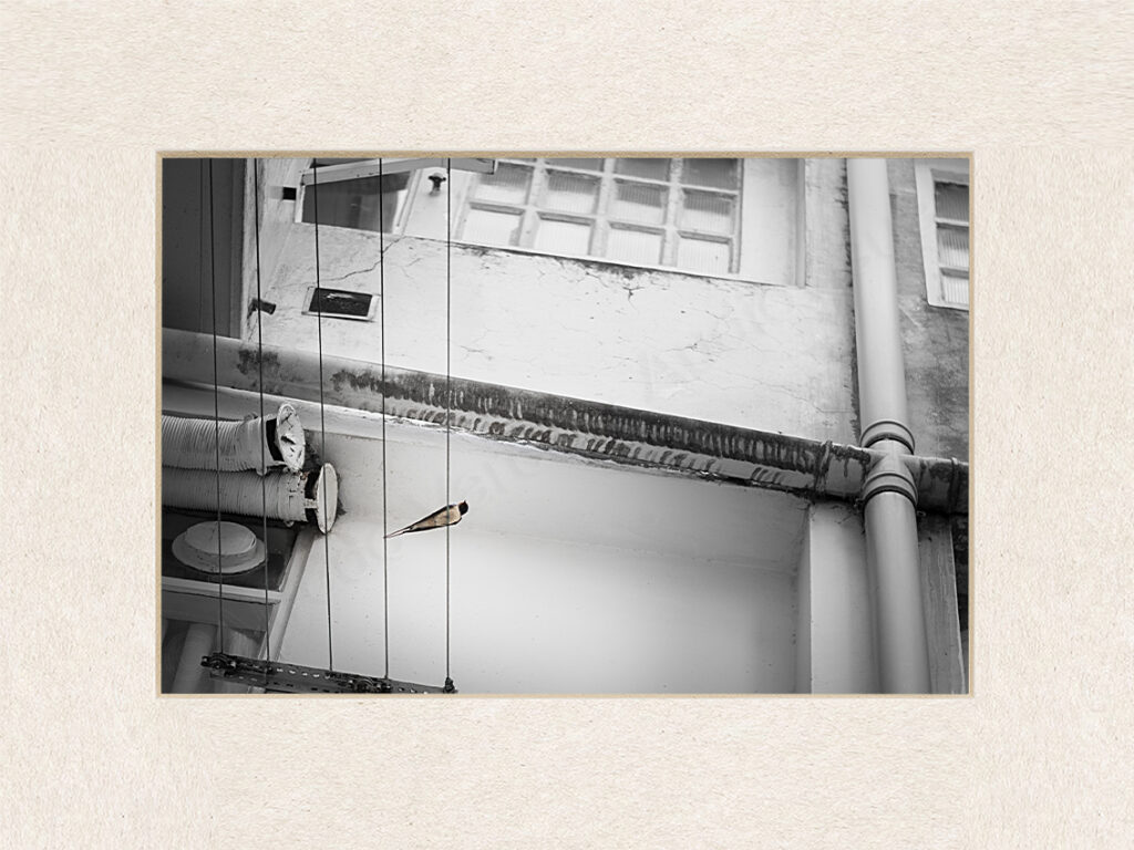 126_autor